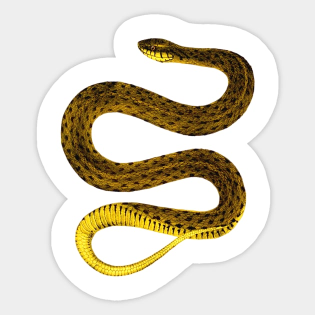 Snake Sticker by vabontchi